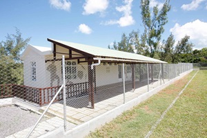 Renovation of the Cloakrroom